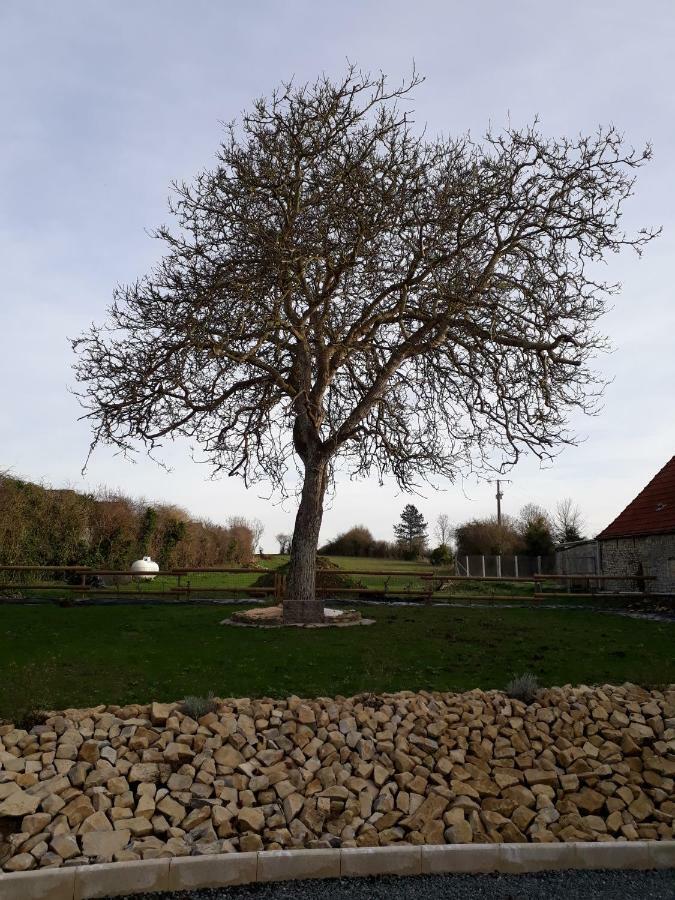 Gite " Le Vieux Noyer" Liesville-sur-Douve ภายนอก รูปภาพ